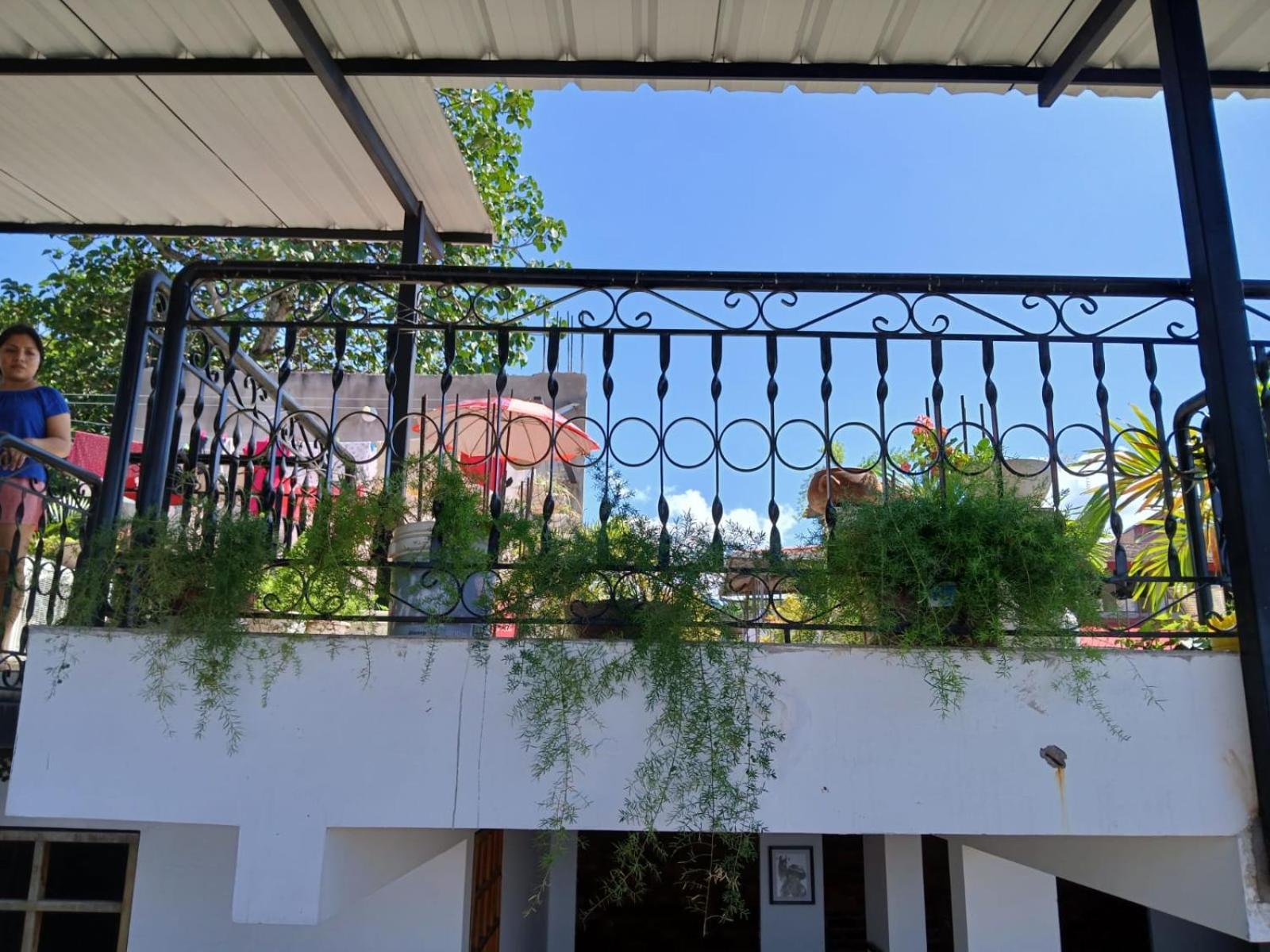 Alojamiento Familiar Custodia Tarapoto Exterior photo