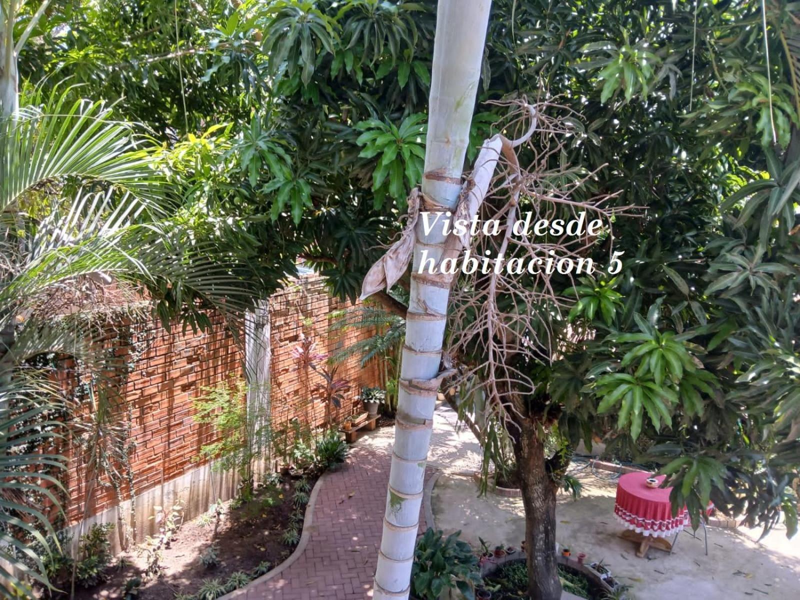 Alojamiento Familiar Custodia Tarapoto Exterior photo